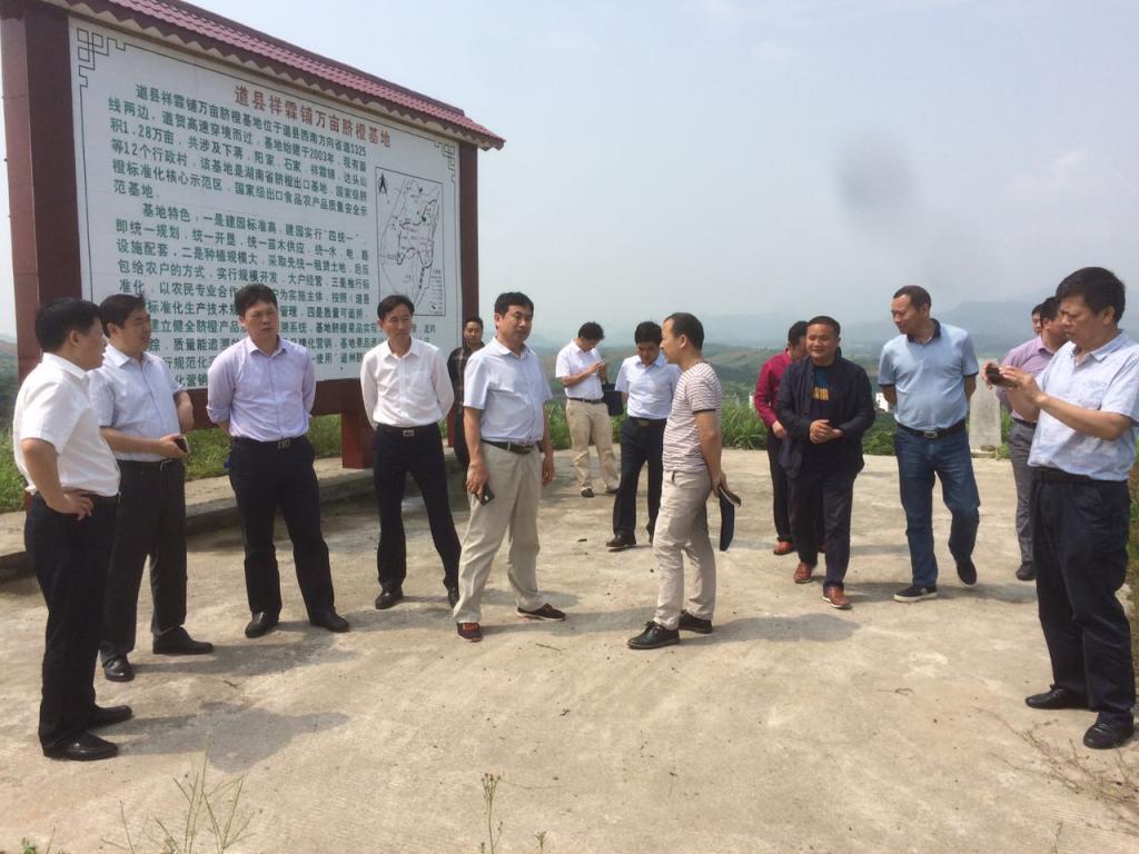 道县县委副书记,县长李天明,副县长杨三信等县级领导陪同调研