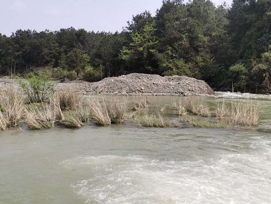 河道运营维护报价,河道运营管理维护方案